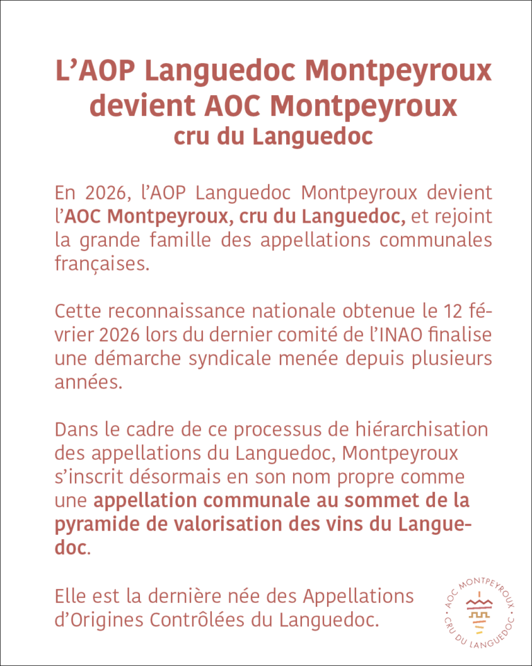 aoc-montpeyroux-naissance-02