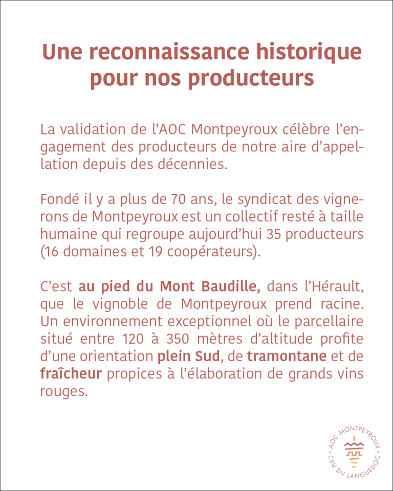 aoc-montpeyroux-naissance-04