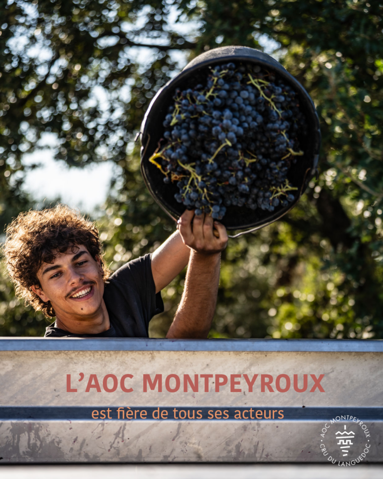 aoc-montpeyroux-naissance-09